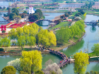 Primary school students are participating in a research activity amid blooming flowers at the Hongze Lake Wetland scenic spot in Sihong Coun...