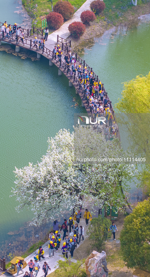 Primary school students are participating in a research activity amid blooming flowers at the Hongze Lake Wetland scenic spot in Sihong Coun...