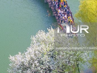 Primary school students are participating in a research activity amid blooming flowers at the Hongze Lake Wetland scenic spot in Sihong Coun...