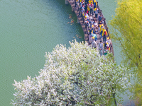 Primary school students are participating in a research activity amid blooming flowers at the Hongze Lake Wetland scenic spot in Sihong Coun...