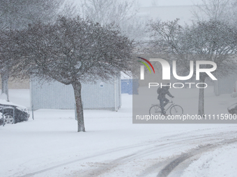 A man is riding his bike on a road during a snowfall in Linkoping, Sweden, on April 2, 2024. (