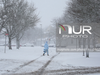 A man is walking along a road during a snowfall in Linkoping, Sweden, on April 2, 2024. (