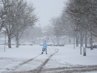 A man is walking along a road during a snowfall in Linkoping, Sweden, on April 2, 2024. (