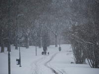 A man is walking with his puppies along a road during a snowfall in Linkoping, Sweden, on April 2, 2024. (