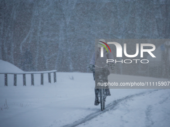 A woman is riding her bike along a road during a snowfall in Linkoping, Sweden, on April 2, 2024. (