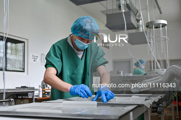 A chemist is sterilizing medicinal hydrogel dressings with UV light to speed up the healing process of burns and severe wounds in Ukrainian...