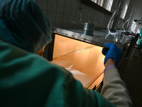 A chemist is producing medicinal hydrogel dressings to speed up the healing process of burns and severe wounds in Ukrainian soldiers at Lviv...