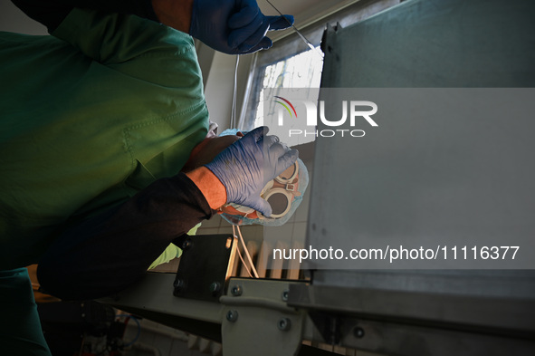 A chemist is looking into the dehydration furnace during the production of medicinal hydrogel dressings for Ukrainian soldiers at Lviv Polyt...