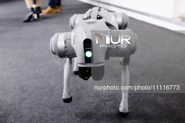 The Unitree Go2, a dog-inspired quadruped robot designed by the Chinese robotics company, is being showcased at the Mobile World Congress 20...