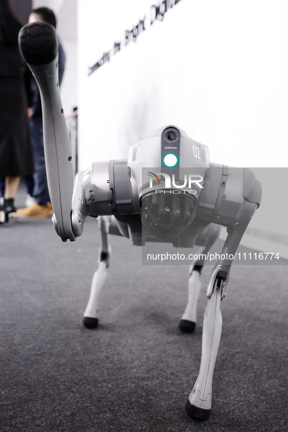 The Unitree Go2, a dog-inspired quadruped robot designed by the Chinese robotics company, is being showcased at the Mobile World Congress 20...