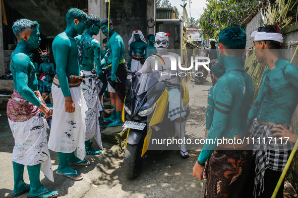 Balinese men with painted bodies are preparing to attend the Ngerebeg tradition in Tegallalang Village, Bali, Indonesia, on April 3, 2024. N...