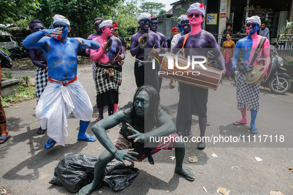 Balinese men with painted bodies are playing traditional instruments as they participate in the Ngerebeg tradition in Tegallalang Village, B...