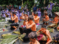 Balinese men with painted bodies are praying as they attend the Ngerebeg tradition in Tegallalang Village, Bali, Indonesia, on April 3, 2024...