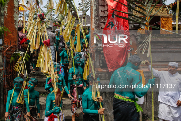 Balinese men with painted bodies are marching as they attend the Ngerebeg tradition in Tegallalang Village, Bali, Indonesia, on April 3, 202...