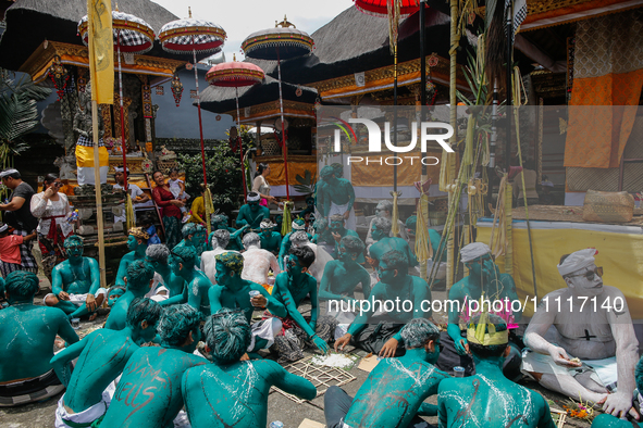 Balinese men with painted bodies are eating together as they attend the Ngerebeg tradition in Tegallalang Village, Bali, Indonesia, on April...