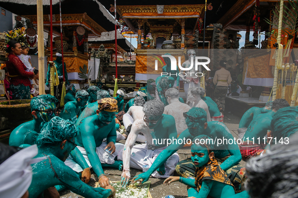 Balinese men with painted bodies are eating together as they attend the Ngerebeg tradition in Tegallalang Village, Bali, Indonesia, on April...