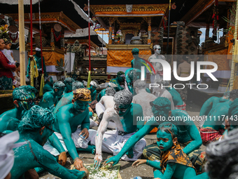 Balinese men with painted bodies are eating together as they attend the Ngerebeg tradition in Tegallalang Village, Bali, Indonesia, on April...