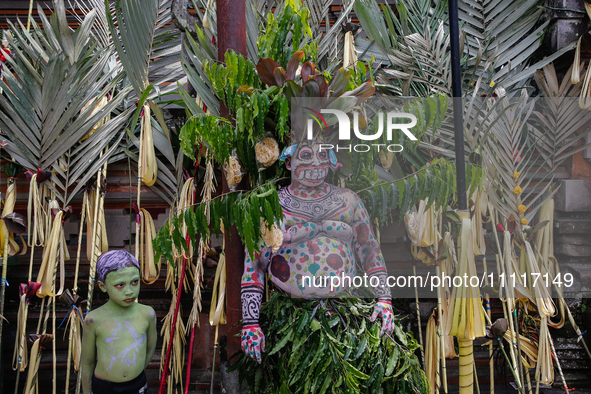 Balinese men with painted bodies are waiting as they attend the Ngerebeg tradition in Tegallalang Village, Bali, Indonesia, on April 3, 2024...