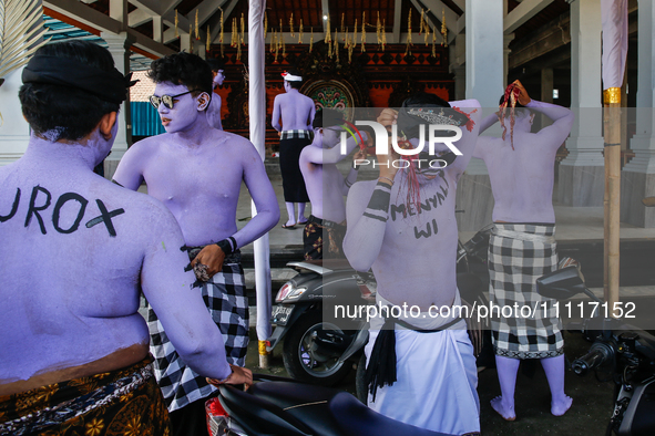 Balinese men with painted bodies are preparing to attend the Ngerebeg tradition in Tegallalang Village, Bali, Indonesia, on April 3, 2024. N...