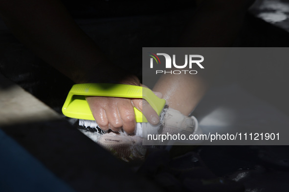 A woman is washing clothes at a community laundry in Santa Cruz Acalpixca, Xochimilco, Mexico City. 