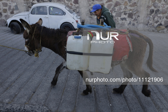 A person and a donkey are transporting drums filled with water in Santa Cruz Acalpixca, Xochimilco, in Mexico City, due to a shortage of wat...