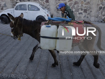 A person and a donkey are transporting drums filled with water in Santa Cruz Acalpixca, Xochimilco, in Mexico City, due to a shortage of wat...