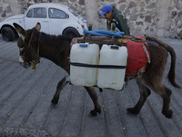 A person and a donkey are transporting drums filled with water in Santa Cruz Acalpixca, Xochimilco, in Mexico City, due to a shortage of wat...