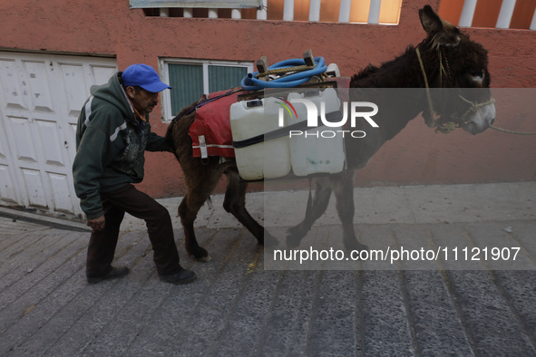 A person and a donkey are transporting drums filled with water in Santa Cruz Acalpixca, Xochimilco, in Mexico City, due to a shortage of wat...