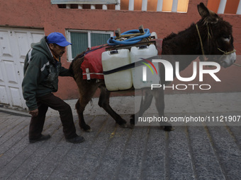 A person and a donkey are transporting drums filled with water in Santa Cruz Acalpixca, Xochimilco, in Mexico City, due to a shortage of wat...