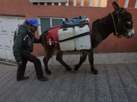 A person and a donkey are transporting drums filled with water in Santa Cruz Acalpixca, Xochimilco, in Mexico City, due to a shortage of wat...