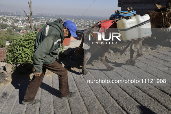 A person is carrying water with his donkeys in Santa Cruz Acalpixca, Xochimilco, in Mexico City, due to a water shortage in the area. 