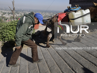 A person is carrying water with his donkeys in Santa Cruz Acalpixca, Xochimilco, in Mexico City, due to a water shortage in the area. (