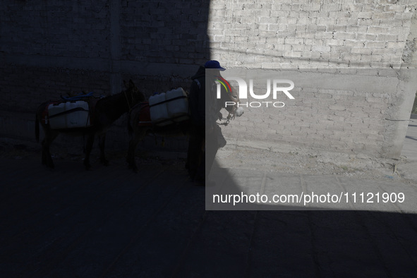 A person and a donkey are transporting drums filled with water in Santa Cruz Acalpixca, Xochimilco, in Mexico City, due to a shortage of wat...