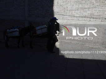 A person and a donkey are transporting drums filled with water in Santa Cruz Acalpixca, Xochimilco, in Mexico City, due to a shortage of wat...