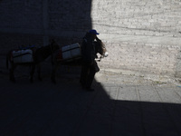 A person and a donkey are transporting drums filled with water in Santa Cruz Acalpixca, Xochimilco, in Mexico City, due to a shortage of wat...