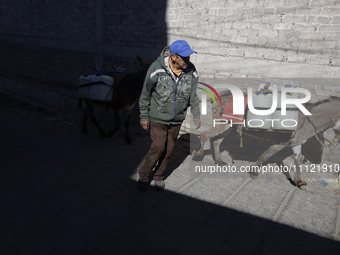 A person is carrying water with his donkeys in Santa Cruz Acalpixca, Xochimilco, in Mexico City, due to a water shortage in the area. (