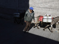 A person is carrying water with his donkeys in Santa Cruz Acalpixca, Xochimilco, in Mexico City, due to a water shortage in the area. (