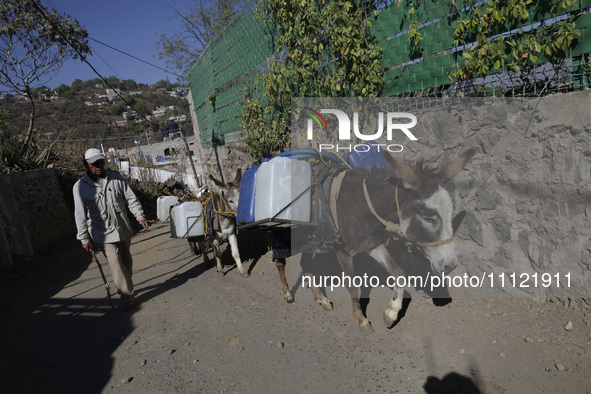 A person is carrying water with his donkeys in Santa Cruz Acalpixca, Xochimilco, in Mexico City, due to a water shortage in the area. 