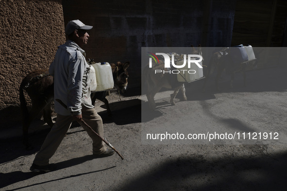 A person is carrying water with his donkeys in Santa Cruz Acalpixca, Xochimilco, in Mexico City, due to a water shortage in the area. 