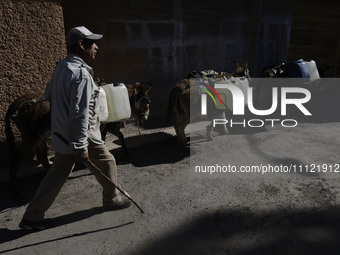 A person is carrying water with his donkeys in Santa Cruz Acalpixca, Xochimilco, in Mexico City, due to a water shortage in the area. (