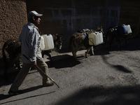 A person is carrying water with his donkeys in Santa Cruz Acalpixca, Xochimilco, in Mexico City, due to a water shortage in the area. (