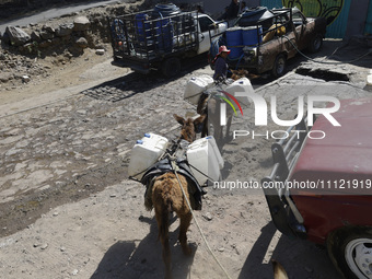 A person and a donkey are transporting drums filled with water in Santa Cruz Acalpixca, Xochimilco, in Mexico City, due to a shortage of wat...