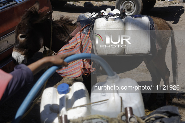 A person is filling water drums that are being transported by donkeys in Santa Cruz Acalpixca, Xochimilco, in Mexico City, due to a shortage...