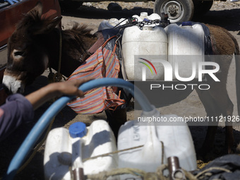 A person is filling water drums that are being transported by donkeys in Santa Cruz Acalpixca, Xochimilco, in Mexico City, due to a shortage...