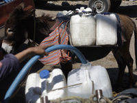 A person is filling water drums that are being transported by donkeys in Santa Cruz Acalpixca, Xochimilco, in Mexico City, due to a shortage...