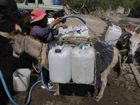 A person is filling water drums that are being transported by donkeys in Santa Cruz Acalpixca, Xochimilco, in Mexico City, due to a shortage...