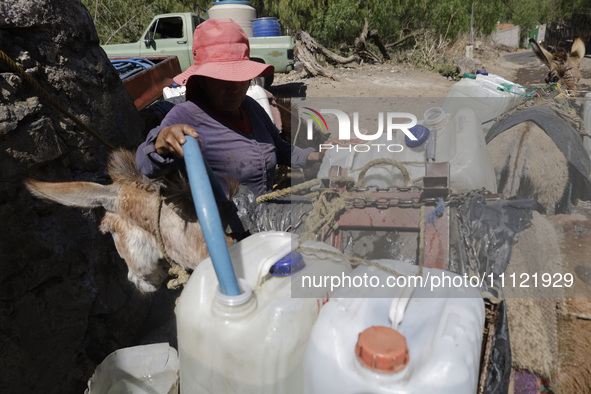 A person is filling water drums that are being transported by donkeys in Santa Cruz Acalpixca, Xochimilco, in Mexico City, due to a shortage...