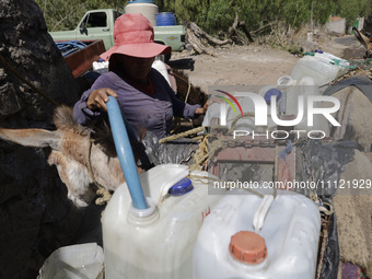 A person is filling water drums that are being transported by donkeys in Santa Cruz Acalpixca, Xochimilco, in Mexico City, due to a shortage...