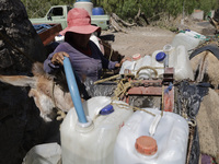 A person is filling water drums that are being transported by donkeys in Santa Cruz Acalpixca, Xochimilco, in Mexico City, due to a shortage...