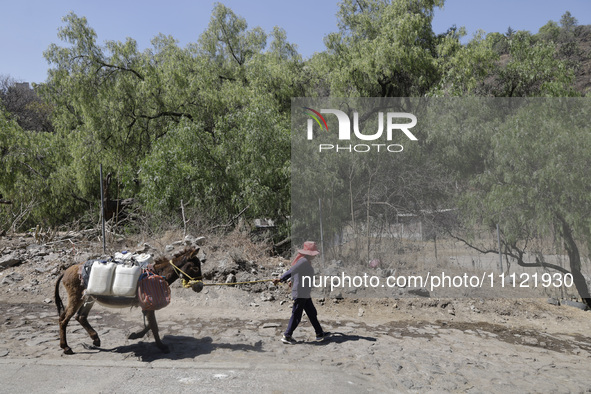 A person and his donkey are carrying water in Santa Cruz Acalpixca, Xochimilco, in Mexico City, due to the shortage of water in the area. 